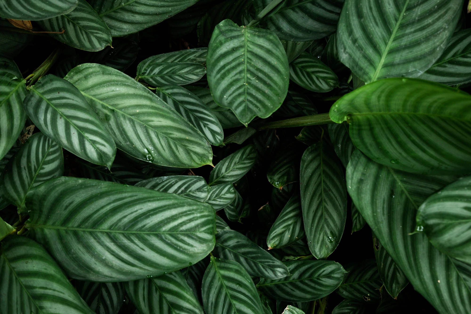 Blog Header Background