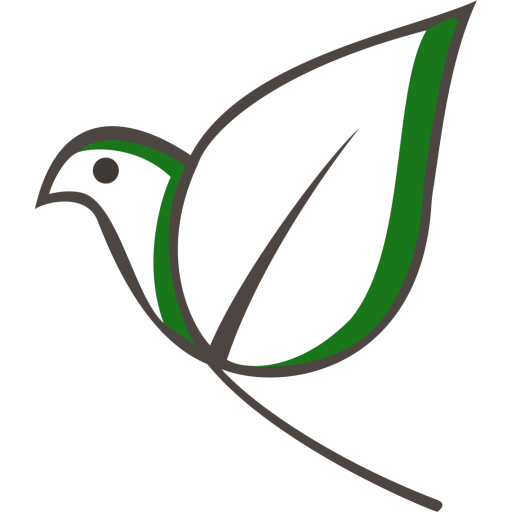 Dış Mekân Mobilyalarında Malzeme Rehberi: Hangi Malzeme Daha Dayanıklı?